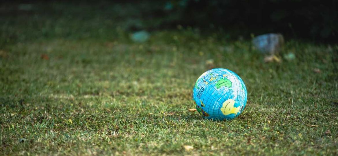 ecologia ambientalismo